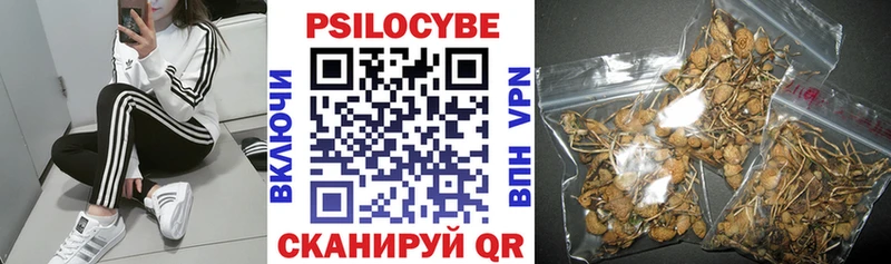 Галлюциногенные грибы прущие грибы  дарк нет состав  Воркута 